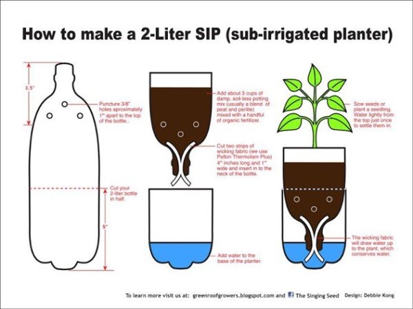 DIY Self-Watering Seed Starter Pot Planter