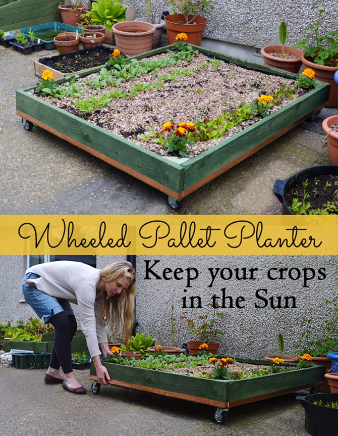 A Movable Wheeled Pallet Planter-Pallet Gardening Ideas-DIYHowto Create A Pallet Garden