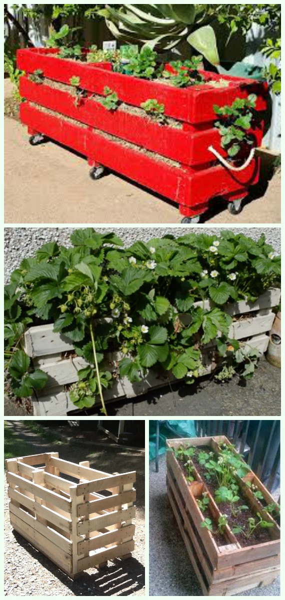 DIY Vertical Strawberry Pallet Planter Instruction-Gardening Tips to Grow Vertical Strawberries Gardens