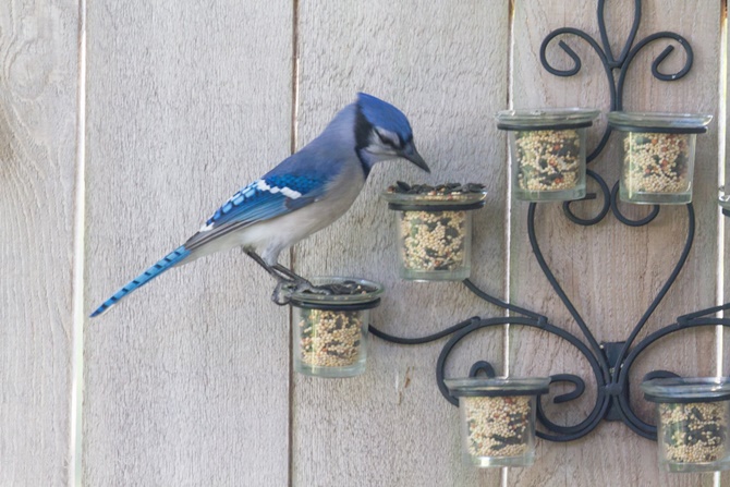 Bird Feeder Fence Decor-20 Fence Decoration Makeover DIY Ideas 