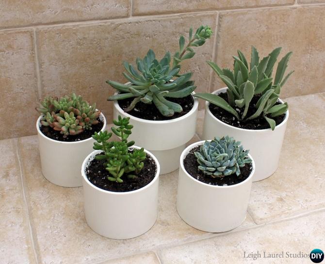 DIY Indoor Succulent PVC Pots-20 PVC Home Organization and Storage Projects