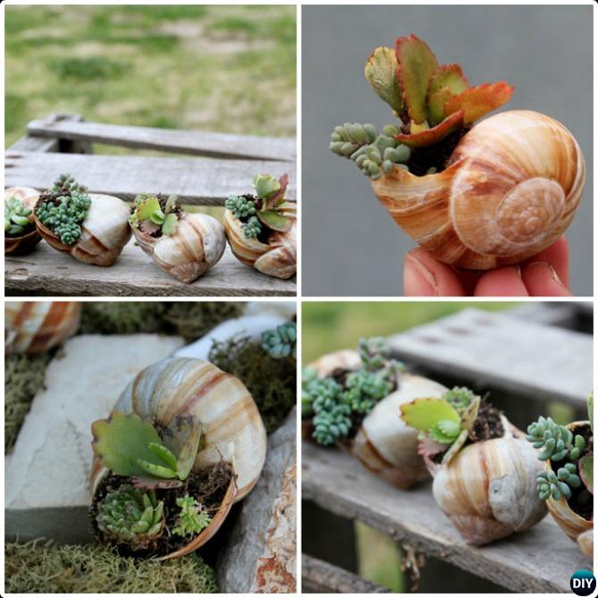 DIY Miniature Shell Garden-20 DIY Upcycled Container Gardening Planters Projects