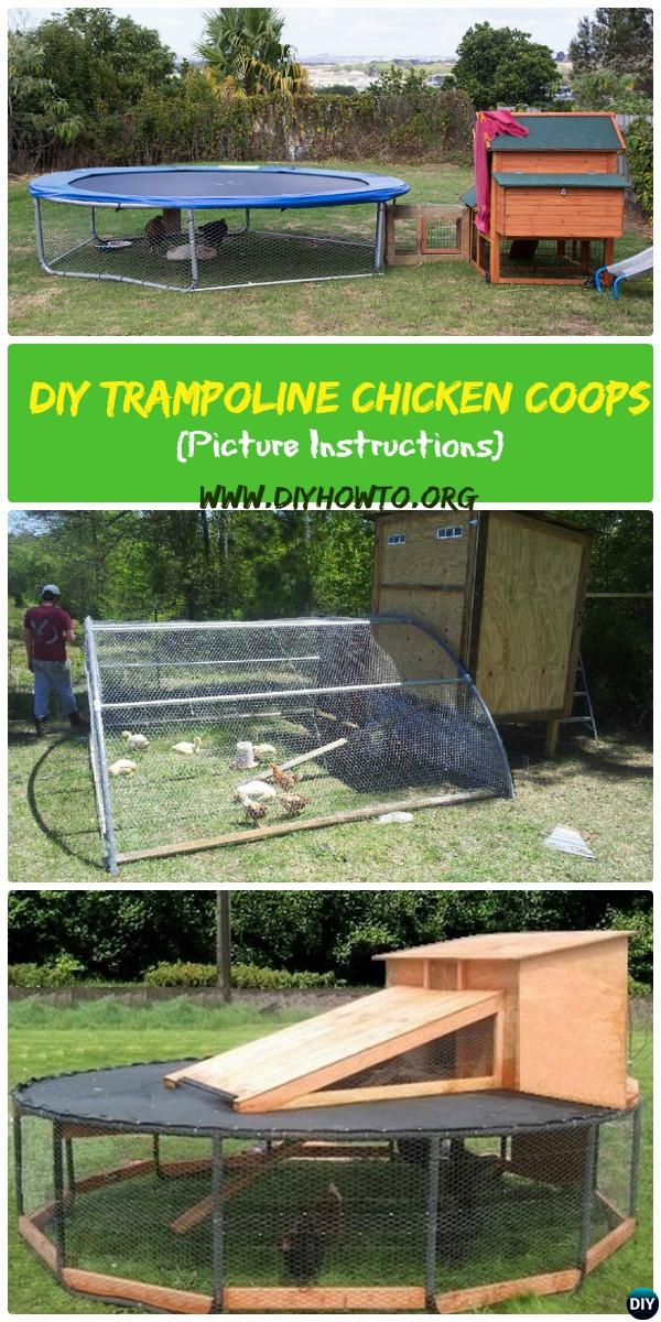 DIY Trampoline Chicken Coop [Picture Instructions]