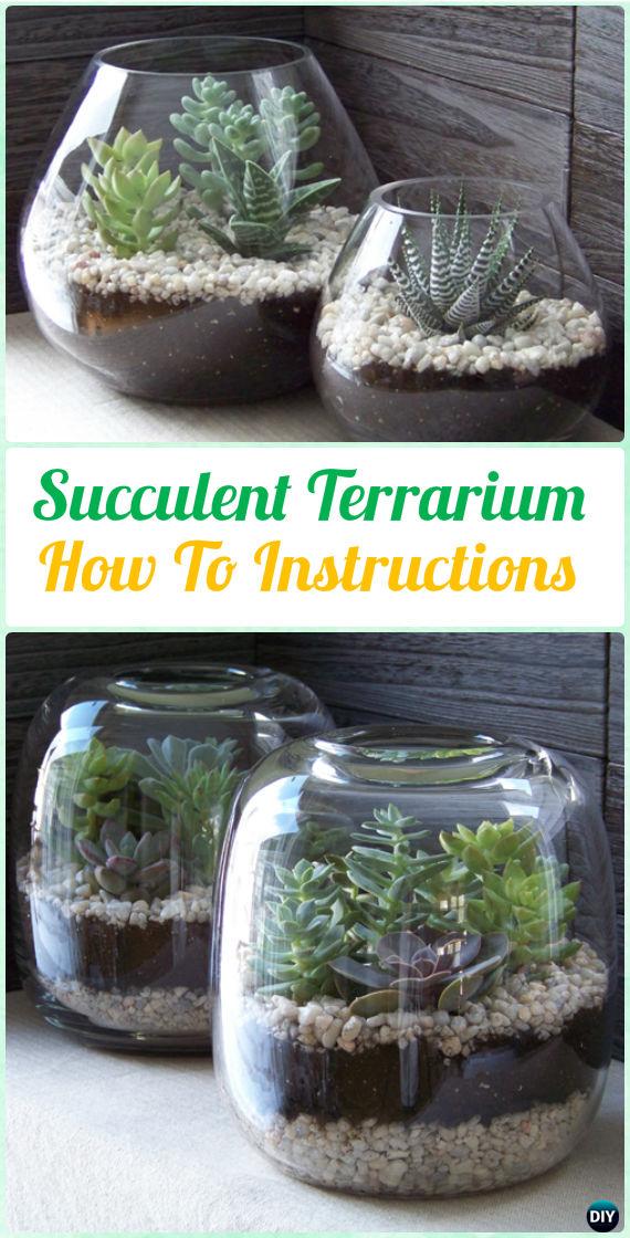 DIY Glass Succulent Terrarium Garden Instruction- DIY Indoor Succulent Garden Ideas Projects