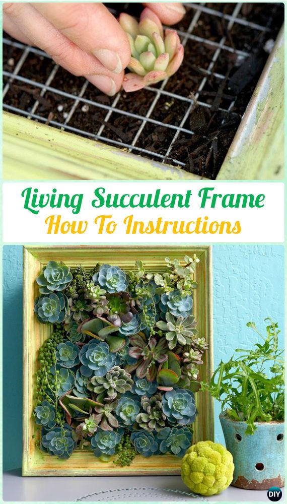 DIY Living Succulent Picture Frame Garden Instruction- DIY Indoor Succulent Garden Ideas Projects