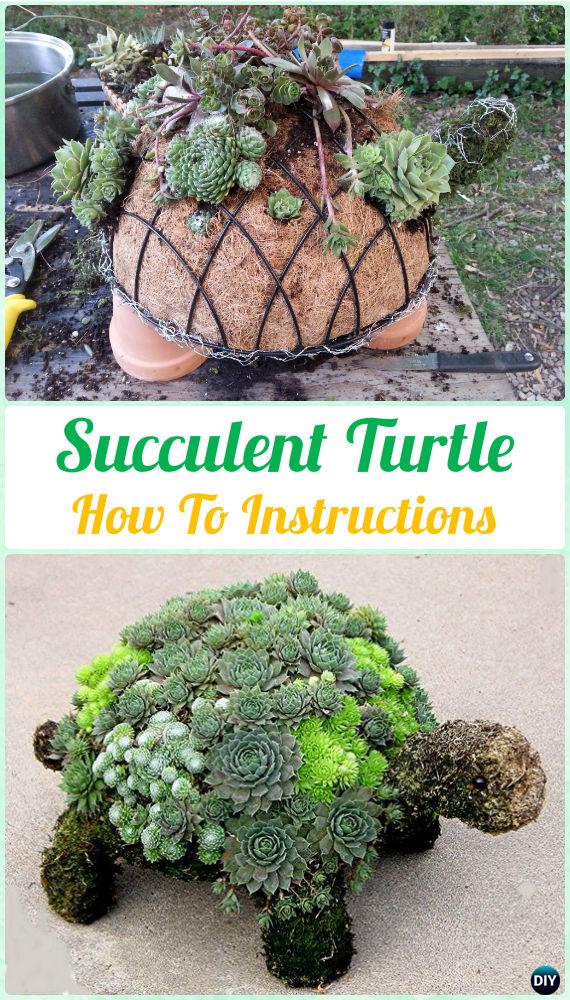 DIY Succulent Turtle Topiary Instruction- DIY Indoor Succulent Garden Ideas Projects