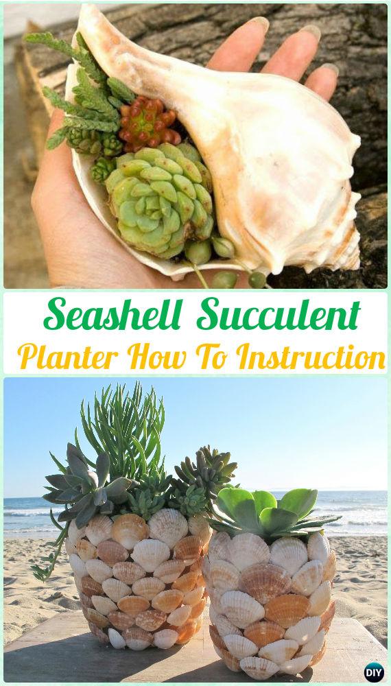 DIY Seashell Succulent Planter Instruction- DIY Indoor Succulent Garden Ideas Projects