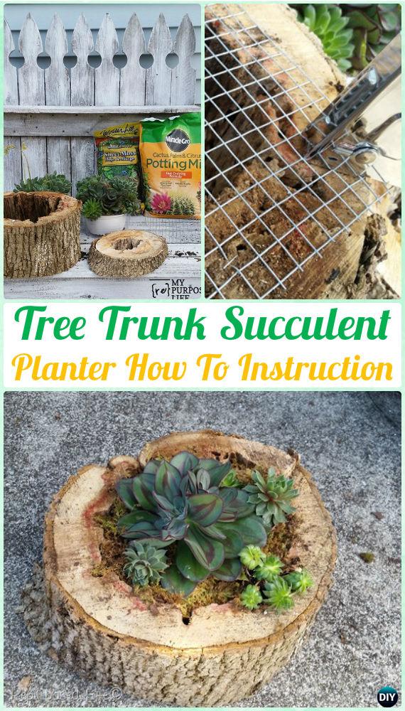 DIY Tree Trunk Succulent Planter Instruction- DIY Indoor Succulent Garden Ideas Projects