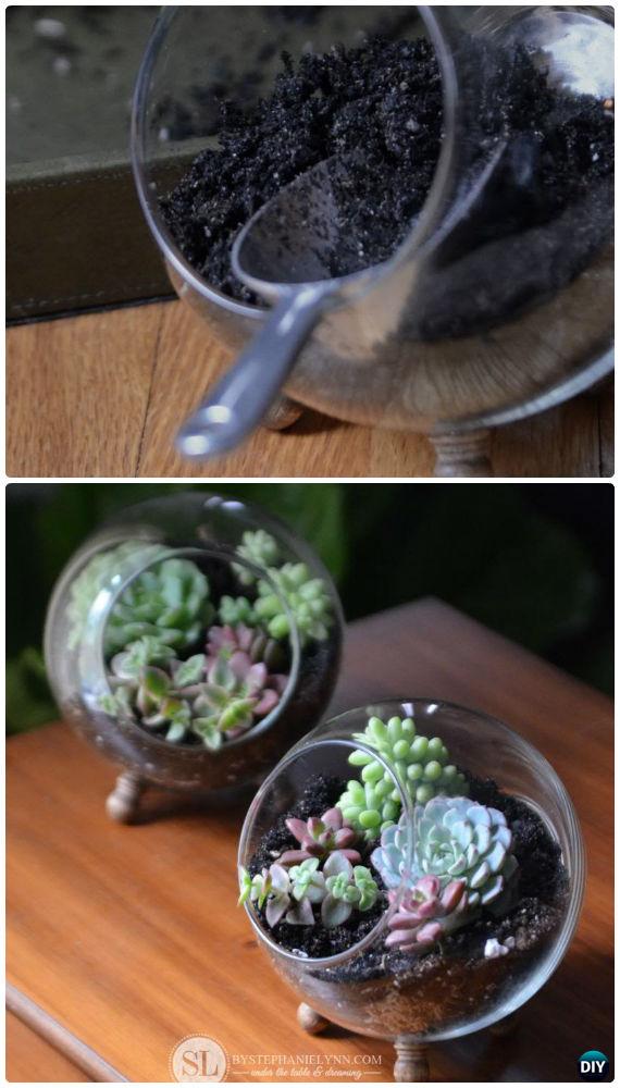 DIY Glass Globe Terrarium Succulent Planter Instruction- DIY Indoor Succulent Garden Ideas Projects