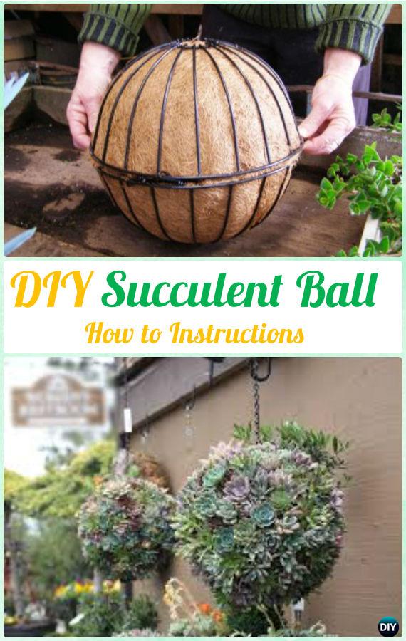 DIY Hanging Succulent Ball Sphere Planter Instruction- DIY Indoor Succulent Garden Ideas Projects