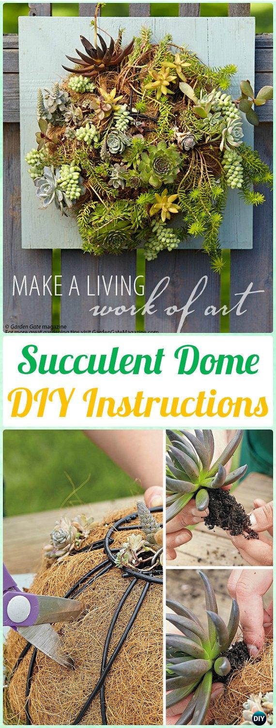 DIY Living Succulent Dome Wall Art Instructions - DIY Indoor Succulent Garden Ideas Projects