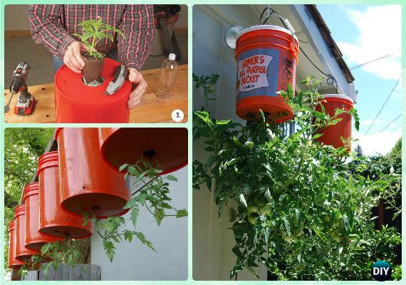 Grow Tomato Upside Down in Bucket Instructions - Gardening Tips to Grow Tomatoes In Containers 