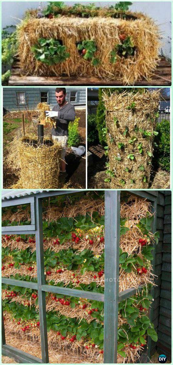 DIY Straw Bale Strawberry Garden Instruction-Gardening Tips to Grow Vertical Strawberries Gardens