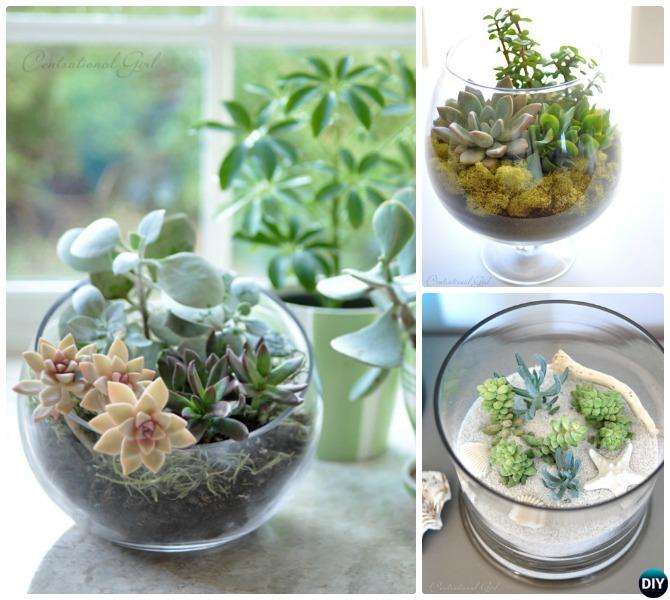 Succulent Glass Vessel Terrarium-DIY Mini Fairy Terrarium Garden Ideas