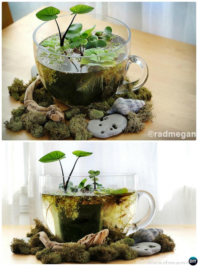 Tea Cup Water Terrarium-DIY Mini Fairy Terrarium Garden Ideas