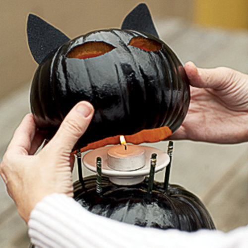 DIY Black Cat O’Lanterns Tutorial - DIY Halloween Light Projects Instructions 